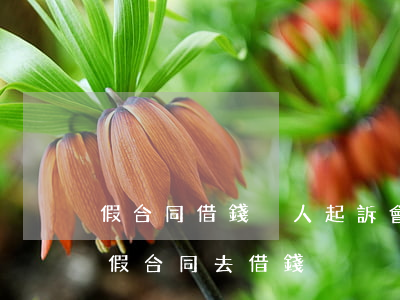 假合同借錢別人起訴會(huì)怎樣(拿著假合同去借錢)