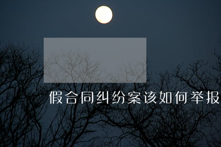 假合同纠纷案该如何举报(合同造假违法吗)