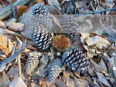 假如你欠了網(wǎng)貸怎么上岸(欠了網(wǎng)貸如何上岸)