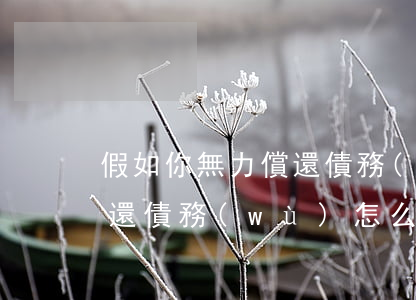 假如你無力償還債務(wù)(假如你無力償還債務(wù)怎么辦)