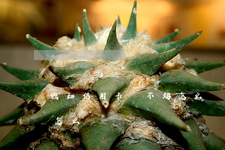 假如信用卡還不起怎么辦(如果還不起信用卡怎么辦)