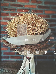 假如有20多次逾期怎么辦（假如有20多次逾期怎么辦）