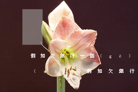 假如欠銀行一個(gè)億能享受什么服務(wù)-假如欠銀行一個(gè)億能享受什么服務(wù)呢