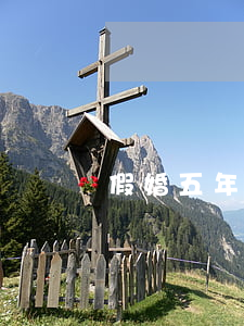 假婚五年的妻子提出離婚