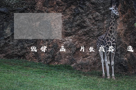 假律師函圖片生成器(偽造律師函)