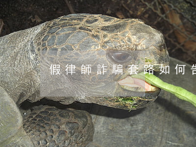 假律師詐騙套路(如何告律師詐騙)