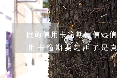 假的信用卡逾期短信(短信說(shuō)信用卡逾期要起訴了是真的嗎)