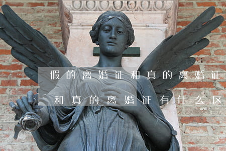 假的离婚证和真的离婚证的区别(假的离婚证和真的离婚证有什么区别)