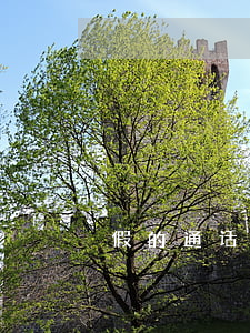 假的通话记录制作(如何做一个假的通话记录)