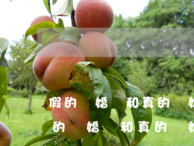 假的離婚證和真的離婚證的區(qū)別(假的離婚證和真的離婚證有什么區(qū)別)