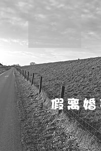 假离婚 买房