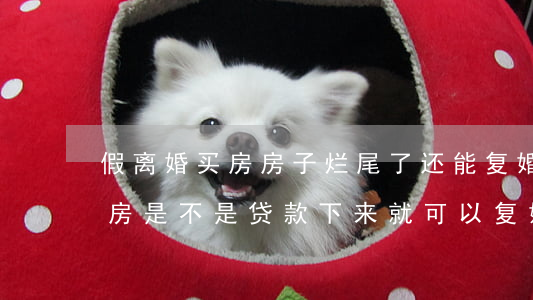 假离婚买房房子烂尾了还能复婚么(假离婚买房,是不是贷款下来就可以复婚了)