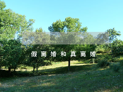 假离婚和真离婚