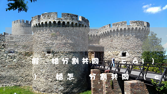 假離婚分割共同財(cái)產(chǎn)(離婚怎樣分割共同財(cái)產(chǎn))