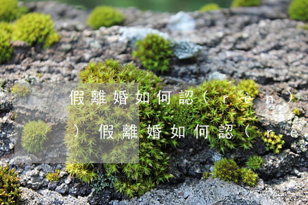 假離婚如何認(rèn)定夫妻債務(wù)(假離婚如何認(rèn)定夫妻債務(wù))
