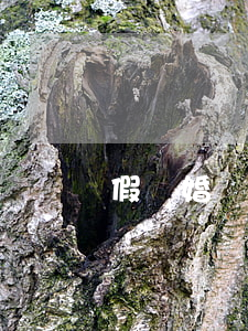 假離婚對破產(chǎn)有用嗎(假離婚好嗎)