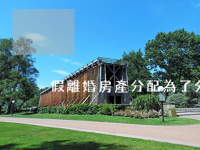 假離婚房產分配(為了分房子假離婚)