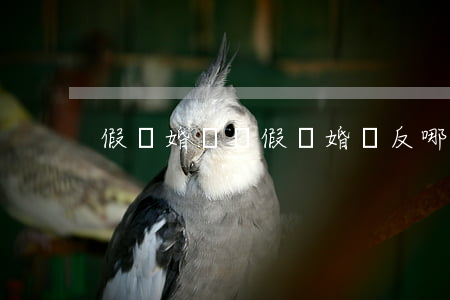 假離婚處罰(假離婚違反哪一條法律)