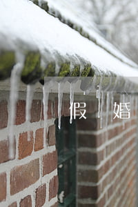 假離婚變真離婚事件(假離婚和真離婚)