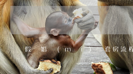 假離婚買(mǎi)二套房流程