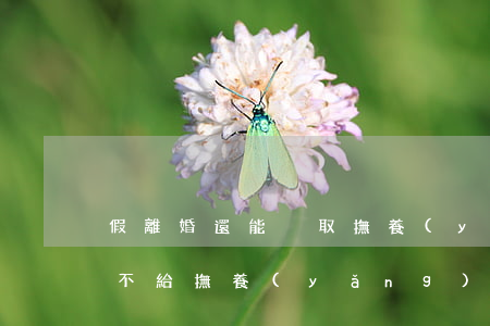假離婚還能爭取撫養(yǎng)費嗎(離婚不給撫養(yǎng)費的后果)