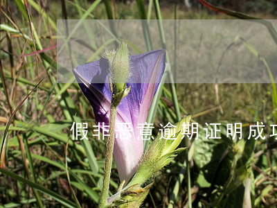 假非恶意逾期证明成功(伪造非恶意逾期证明)