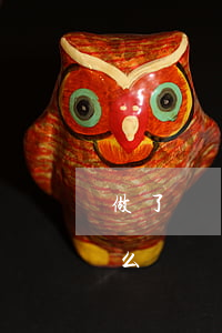 做了網貸還不起怎么辦-網貸之后還不了怎么辦