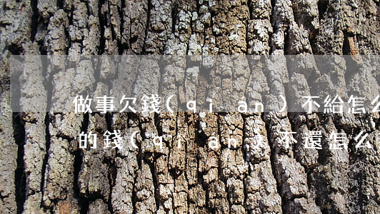 做事欠錢(qián)不給怎么起訴(欠做事的錢(qián)不還怎么辦)