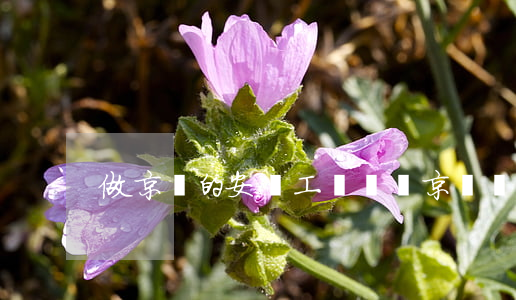 做京東的安裝工賺錢嗎(京東裝機師傅靠譜嗎)