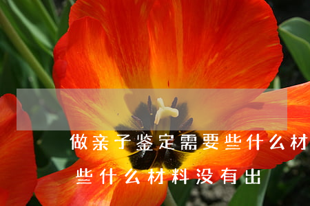 做亲子鉴定需要些什么材料(做亲子鉴定需要些什么材料,没有出)