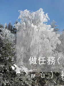 做任務(wù)被騙的錢怎么追回(做任務(wù)被騙了錢能找回嗎)