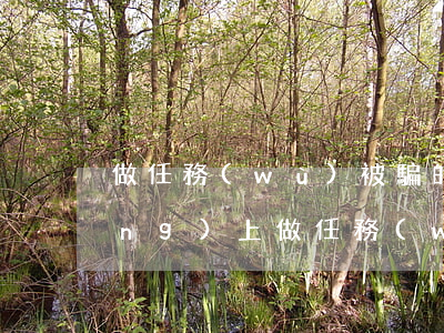 做任務(wù)被騙的錢怎么追回(網(wǎng)上做任務(wù)被騙了怎么辦)