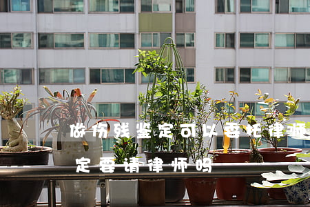 做伤残鉴定可以委托律师办吗(做伤残鉴定一定要请律师吗)