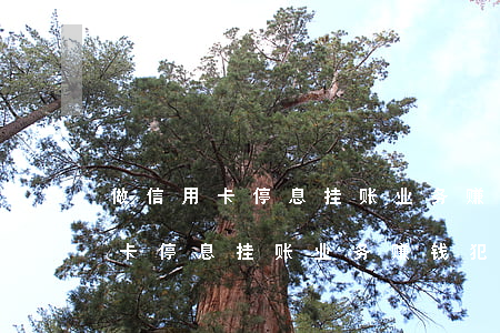做信用卡停息挂账业务赚钱犯法不-做信用卡停息挂账业务赚钱犯法不