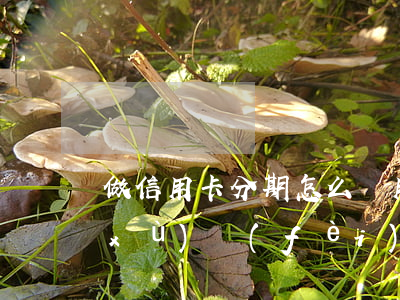 做信用卡分期怎么樣(用信用卡分期有手續(xù)費(fèi)嗎)