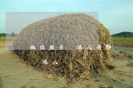 做信用卡擔保人有影響嗎（信用卡逾期影響做擔保人嗎）