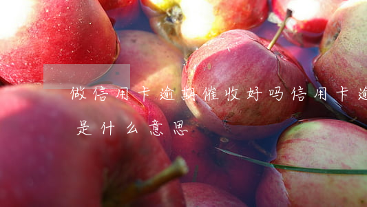 做信用卡逾期催收好吗（信用卡逾期有效催收是什么意思）