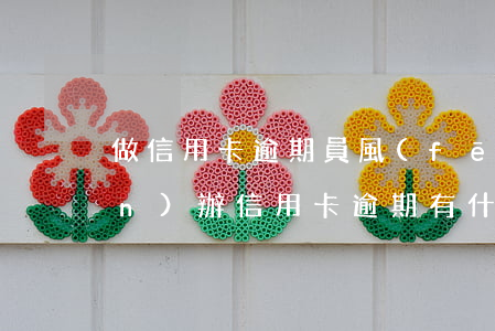 做信用卡逾期員風(fēng)險(xiǎn)(辦信用卡逾期有什么危害)