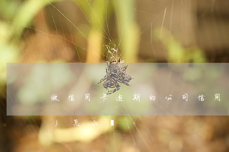 做信用卡逾期的公司(信用卡逾期會(huì)怎么樣)