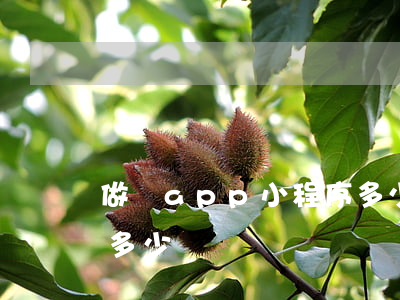 做個app小程序多少錢(做一款微信小程序多少錢)