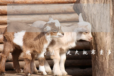 做個司法鑒定大概需要多久