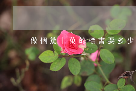 做個幾十萬的標書要多少錢(標書1000元)