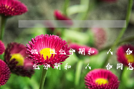 做個性化分期和別人簽合同怎么簽-做個性化分期和別人簽合同怎么簽的