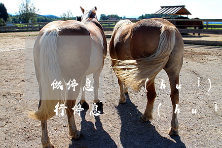 做停息掛賬會(huì)影響貸款嗎(一家銀行停息掛賬會(huì)影響其他銀行嗎?)