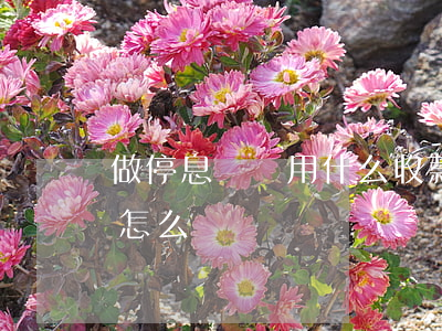 做停息掛賬用什么收款方式比較好(停息掛賬怎么說)