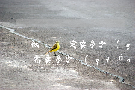 做傷殘鑒定要多少錢(qián)(鑒定傷殘需要多少錢(qián))