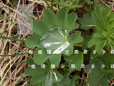 做傷殘鑒定需要多少錢(qián)(眼睛做傷殘鑒定需要多少錢(qián))
