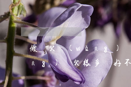 做夢欠網(wǎng)貸(夢見老公網(wǎng)貸欠很多錢好不好?)