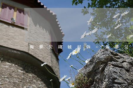 做夢欠錢被起訴-做夢欠錢被起訴了啥意思
