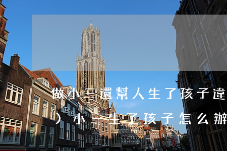 做小三還幫人生了孩子違法嗎(當(dāng)小三生了孩子怎么辦)